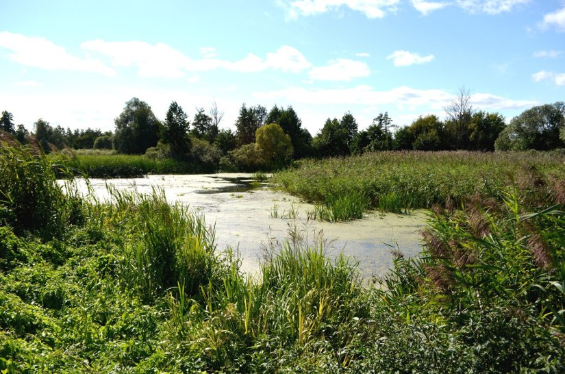 Біловодський заказник