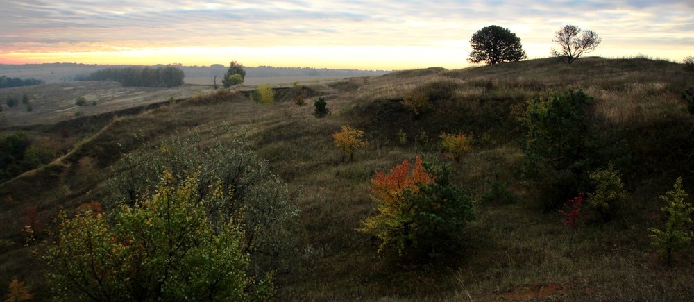 Геологический заказник Гора Золотуха