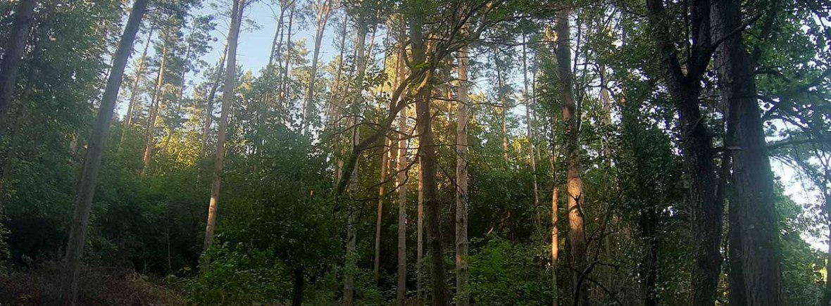 Перикопівський заказник