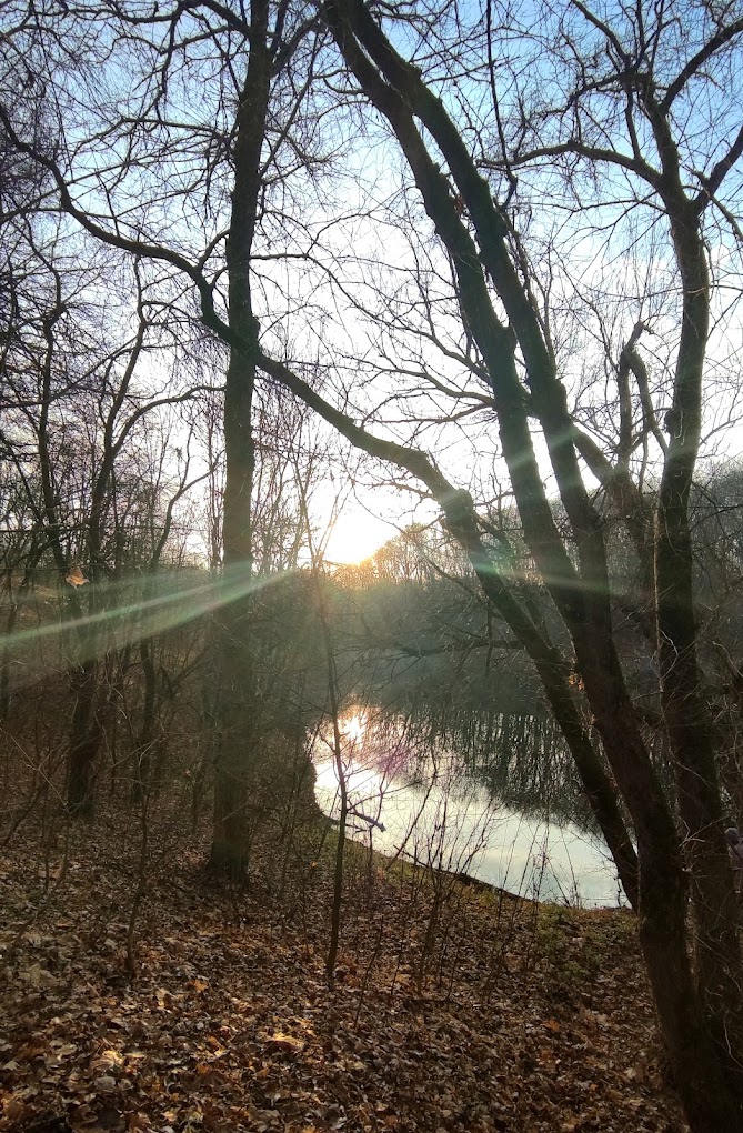 Роменський Гай