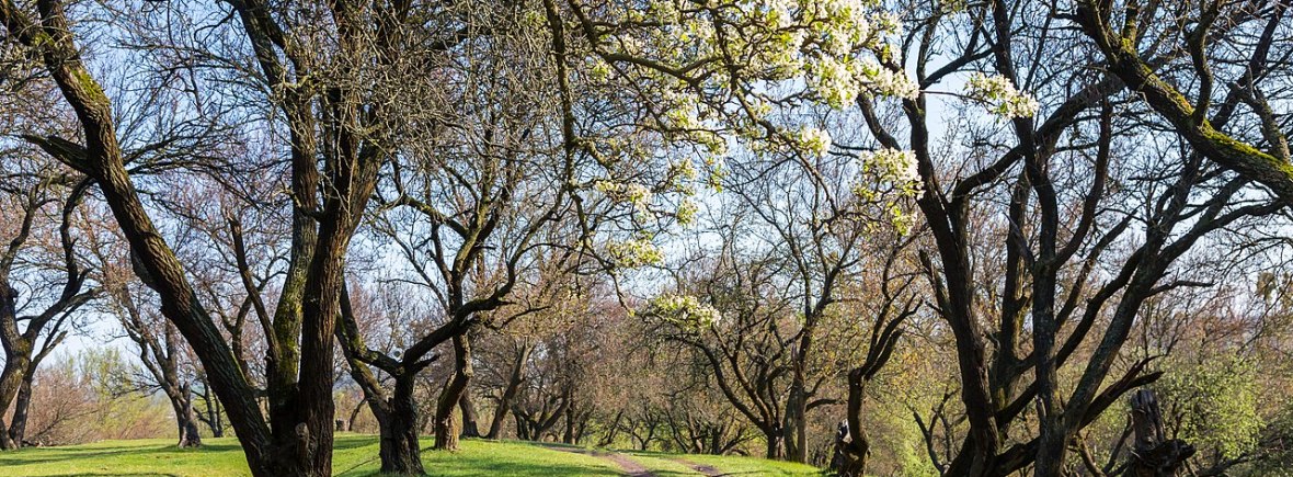 Урочище Огнівщина