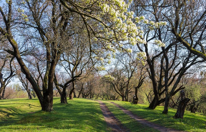 Урочище Огнівщина